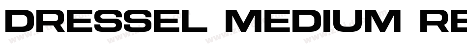 Dressel Medium Regular字体转换